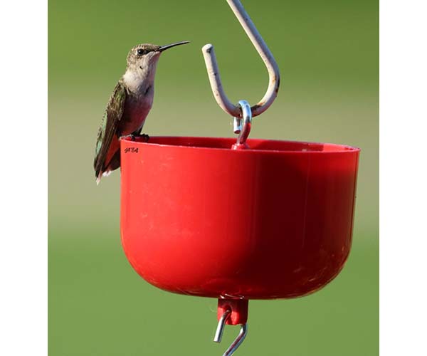 Songbird Essentials Red Hummingbird Nectar Mix and Nectar Maker Shaker Bundle for Ease in Making Nectar and Filling Nectar Bird Feeders 